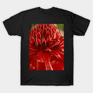 Torch Ginger, Costa Rica, Piedades, Costa Rica T-Shirt